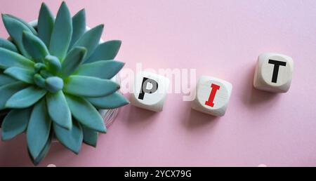 PIT - symbole de l'impôt sur le revenu des particuliers. Cubes en bois avec les mots PIT. Beau fond rose avec plante succulente. Business et PIT concept. Copier l'espace. Banque D'Images