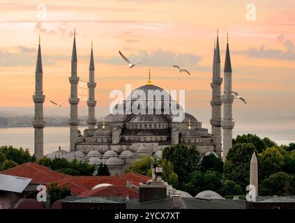 Mouettes sur la Mosquée Bleue et le Bosphore à Istanbul, Turquie Banque D'Images