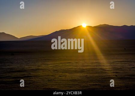 Montagnes autour du lac Song Kul et chevaux dans un soleil levant, Kirghizistan Banque D'Images