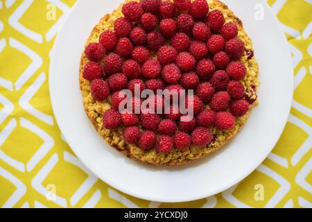 Gâteau de sable pourpre brillant sur serviette jaune, vue de dessus Banque D'Images