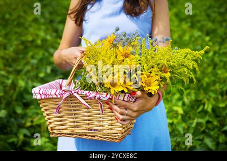 Une fille dans un tableau bleu tient un panier de fleurs jaunes Banque D'Images