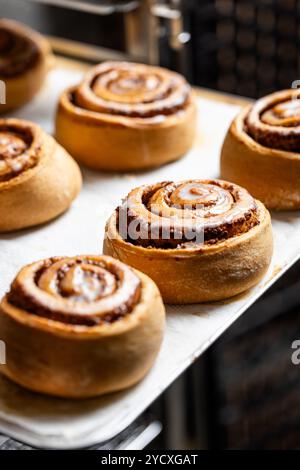 Une délicieuse variété de petits pains à la cannelle à pâte feuilletée végétalienne gastronomique, chacun avec une saveur et une garniture uniques, présentés sur une plaque de cuisson moderne Banque D'Images