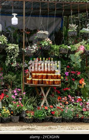 Un étal dynamique et luxuriant au bord de la route à El Salvador, en Amérique centrale, avec un éventail de plantes à fleurs et des bouteilles de miel produites localement exposées Banque D'Images