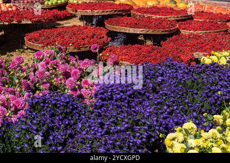 Une scène vibrante sur un marché en plein air présentant un éventail de fleurs colorées, y compris des dahlias violets et des chrysanthèmes, aux côtés de paniers remplis d'esprit Banque D'Images