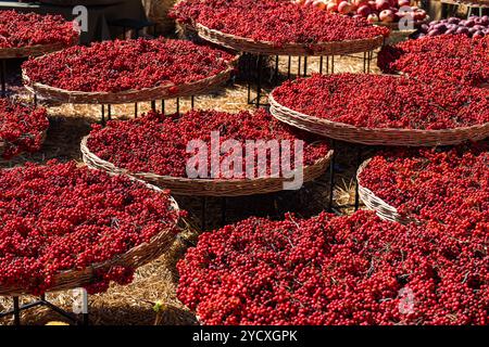 Plusieurs paniers en osier remplis de baies d'aubépine rouge vif disposées sous la lumière du soleil mettant en valeur leurs teintes vibrantes et leur qualité fraîche Banque D'Images