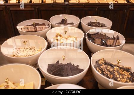 Bols de chocolats assortis de première qualité exposés dans un magasin de chocolat, avec chocolat noir, lait et blanc avec diverses garnitures Banque D'Images