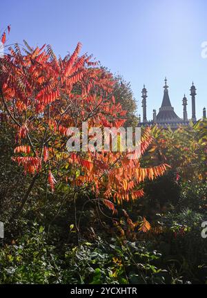 Brighton UK - soleil d'automne et vues sur Pavilion Gardens Brighton Banque D'Images
