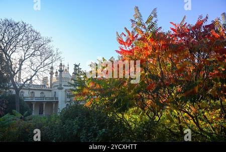 Brighton UK - soleil d'automne et vues autour de Pavilion Gardens Brighton : crédit Simon Dack Banque D'Images
