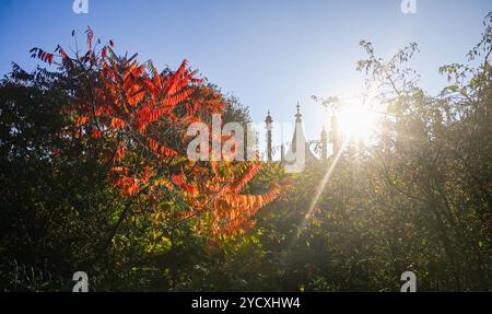 Brighton UK - soleil d'automne et vues sur Pavilion Gardens Brighton Banque D'Images