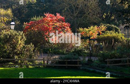 Brighton UK - soleil d'automne et vues autour de Pavilion Gardens Brighton : crédit Simon Dack Banque D'Images