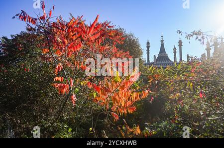 Brighton UK - soleil d'automne et vues sur Pavilion Gardens Brighton Banque D'Images