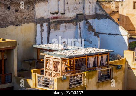 Tannerie dans fes, Maroc Banque D'Images