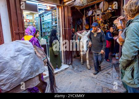 Transport d'ânes dans la médina de Fès Banque D'Images