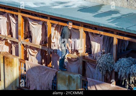 Tannerie dans fes, Maroc Banque D'Images