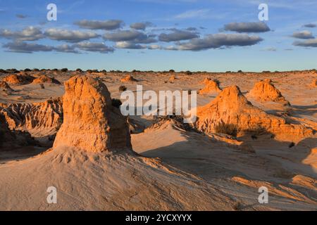 Des monts de terre et d'argile s'élèvent du paysage désertique de l'outback australien Banque D'Images