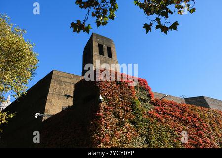 The Mall, Londres, Royaume-Uni. 24 octobre 2024. Météo Royaume-Uni : couleurs d'automne et soleil à Londres. Credit : Matthew Chattle/Alamy Live News Banque D'Images