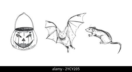 Chauve-souris, rat, panier de bonbons à la citrouille pour Halloween. Tous les objets sont dessinés à la main en vecteur en couleur noire. Illustration vectorielle pour Halloween. Convient pour Illustration de Vecteur