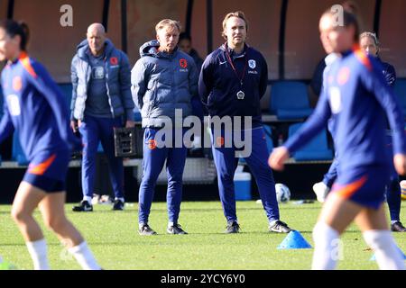 Zeist, pays-Bas. 24 octobre 2024. ZEIST, PAYS-BAS - 24 OCTOBRE : L'entraîneur-chef Andries Jonker, des pays-Bas, et Arvid Smit lors de la séance d'entraînement de l'équipe néerlandaise de football féminin avant le match amical entre l'Indonésie et les pays-Bas ; au campus KNVB le 24 octobre 2024 à Zeist, pays-Bas. (Photo de Peter Lous/Orange Pictures) crédit : Orange pics BV/Alamy Live News Banque D'Images