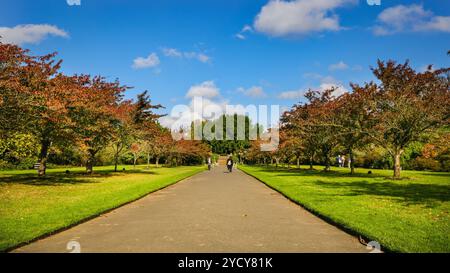 Londres, Royaume-Uni. 24 octobre 2024. Les visiteurs apprécient une promenade parmi les cerisiers colorés qui, au printemps, sont communément connus sous le nom d'allée des cerisiers en fleurs de Kew. Arbres et plantes ont pris des couleurs automnales vibrantes lors d'une journée avec un beau soleil et un ciel bleu avec des températures douces à Kew Gardens dans l'ouest de Londres aujourd'hui. Crédit : Imageplotter/Alamy Live News Banque D'Images