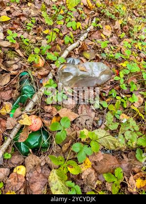 Bouteilles en plastique jetées dans la forêt. Ordures dans la nature, produits réutilisables. Photo de haute qualité Banque D'Images