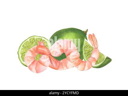 Savoureuse crevette fraîche pelée avec illustration aquarelle citron vert. Crevettes tigrées saines bouillies non coques servies entières et coupées en tranches d'agrumes pour la décoration du menu Banque D'Images