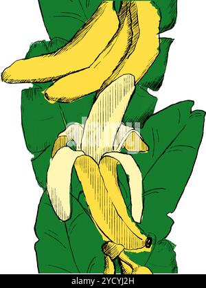Sans couture élégante bordure verticale de modèle sans couture avec des bananes jaunes fraîches sur fond de feuilles vertes dans un style graphique. Motif bananes pour tissu, te Illustration de Vecteur