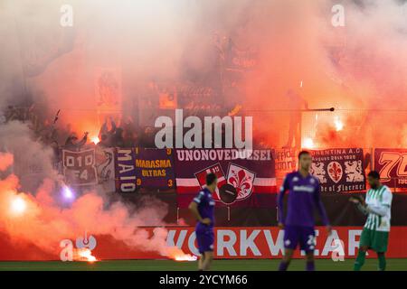 - Gallen, Suisse. 24 octobre 2024. Gall, Suisse, 24 octobre 2024 : les fans de l'ACF Fiorentina lors du match de football de l'UEFA Conference League entre le FC Gall et l'ACF Fiorentina au Kybunpark à Gall, Suisse. Philipp Kresnik (Philipp Kresnik/Kresnikphotographie/SPP) crédit : SPP Sport Press photo. /Alamy Live News Banque D'Images