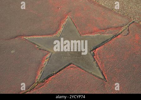 Liselotte Pulver, vergammelter Stern auf dem Boulevard der Stars, Potsdamer Straße, Tiergarten, Mitte, Berlin, Deutschland *** Liselotte Pulver, étoile pourrie sur le boulevard des étoiles, Potsdamer Straße, Tiergarten, Mitte, Berlin, Allemagne Banque D'Images