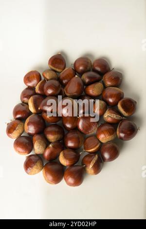 Châtaignes avec un fond blanc dans une vue de dessus, fraîchement cueillies, prêtes à être consommées verticalement Banque D'Images
