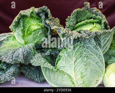 Le chou vert frais de nouvelle récolte prête à vendre au marché des fermiers Banque D'Images