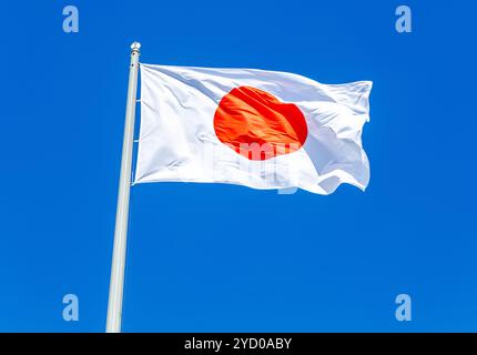 Drapeau national du Japon agitant au vent Banque D'Images