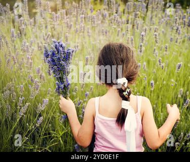 Une jeune fille dans un champ de lavande tient un bouquet de lavande fraîche, ses cheveux tressés attachés avec un ruban blanc, comme elle aime la nature calme autour de lui Banque D'Images