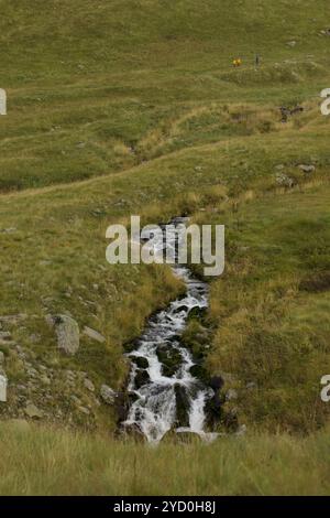 un paysage serein et naturel où un ruisseau étroit descend doucement à travers une prairie verdoyante. Le ruisseau est bordé de pierres lisses Banque D'Images