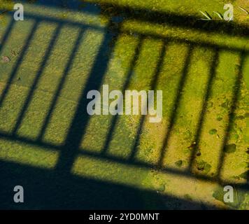 Réflexion d'ombre de la clôture, sur la surface de béton vert humide. Sous le soleil Banque D'Images