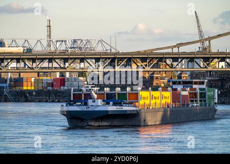 Cargo, cargo porte-conteneurs, pont Krefeld-Uerdingen au-dessus du Rhin, près de Krefeld-Uerdingen, NRW, Allemagne, Banque D'Images