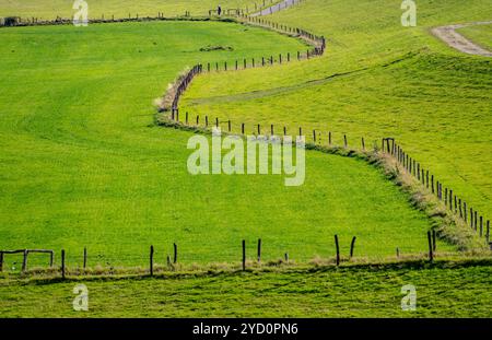 Paysage du Rhin inférieur, avant-pays de dyke près de Grieth, NRW, Allemagne, Banque D'Images