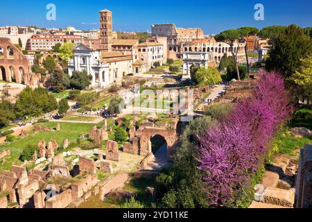 Vue panoramique printanière sur les ruines du Forum romain de Rome Banque D'Images