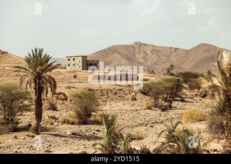 Dans une vallée marocaine ensoleillée, un bâtiment beige se distingue parmi les palmiers et les montagnes escarpées. Le paysage sec et chaud reflète l'unique eolienne Banque D'Images