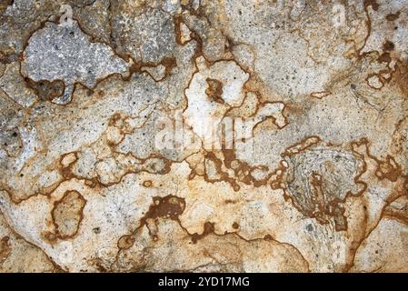 Gros plan d'une formation rocheuse au parc national Harris Beach sur la côte sud de l'Oregon. Banque D'Images
