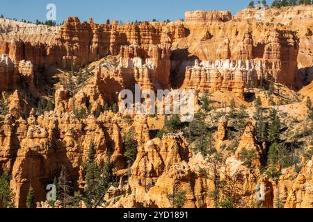 Les hoodoos sont des flèches rocheuses hautes et minces qui se dressent comme des sentinelles dans l'amphithéâtre de Bryce Canyon Banque D'Images