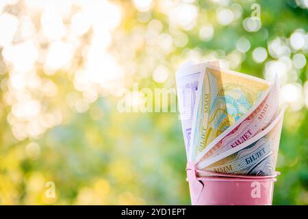 Papier monnaie en été au coucher du soleil sur fond de verdure. Argent sur le fond de vert. . Russie, Gatchina juillet 27, Banque D'Images