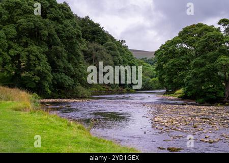 Marche en été le long de la rivière Wharfe, Yorkshire dales, Angleterre Banque D'Images