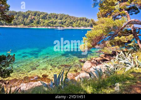 Plage en pierre turquoise idyllique à Cavtat, Mer Adriatique Dalmatie, région de la Croatie Banque D'Images