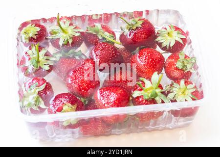 Fraises dans un bol d'eau. Baies rouges. Baies de saison dans l'eau. Banque D'Images