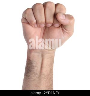 Poing serré levé geste comme symbole de révolution, de mouvement, de rébellion, de victoire. Banque D'Images