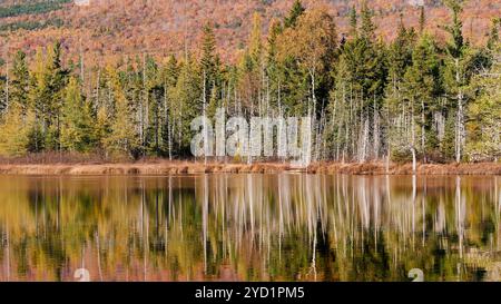 Grassy Pond, Baxter State Park, Maine Banque D'Images