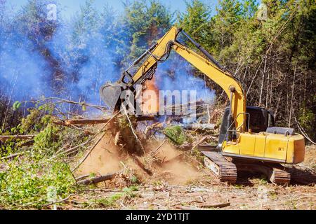 Dans le défrichement pour la construction conduit à brûler des arbres déracinés, ce qui contribue aux problèmes environnementaux. Banque D'Images