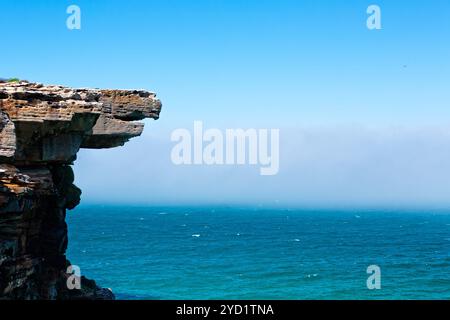 Eagle Rock et un brouillard marin Banque D'Images