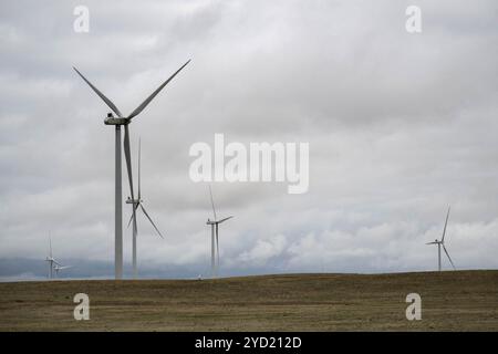 Denver, Colorado, États-Unis. 24 octobre 2024. Éoliennes dans le comté d'Elbert près de Matheson. (Crédit image : © Olivia Sun/Colorado Sun via ZUMA Press Wire) USAGE ÉDITORIAL SEULEMENT! Non destiné à UN USAGE commercial ! Banque D'Images