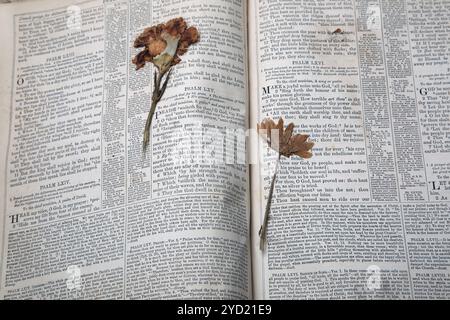 Vieilles fleurs séchées pressées dans une ancienne édition 1776 de la Bible familiale illustrée nationale la Sainte Bible avec commentaires avec Scott et Henry b Banque D'Images